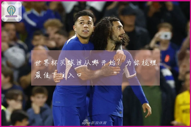 世界杯买球该从哪开始？为你梳理最佳下注入口