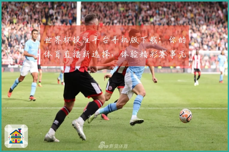 世界杯投注平台手机版下载：你的体育直播新选择，体验精彩赛事无缝衔接