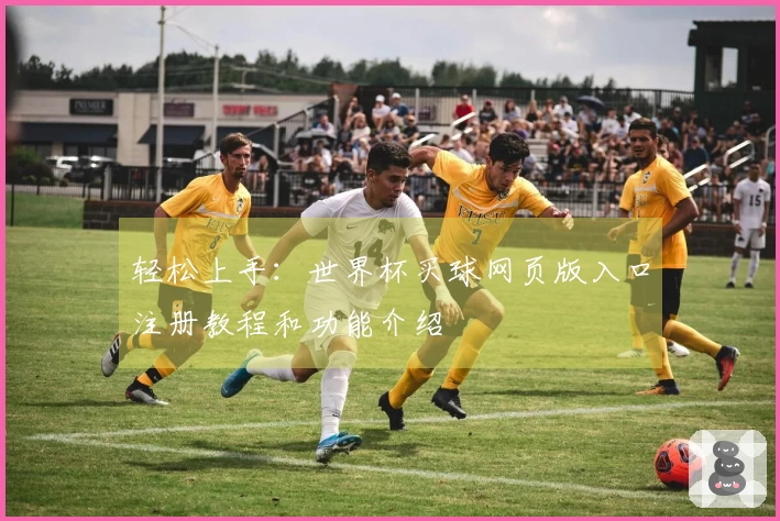 轻松上手:世界杯买球网页版入口注册教程和功能介绍
