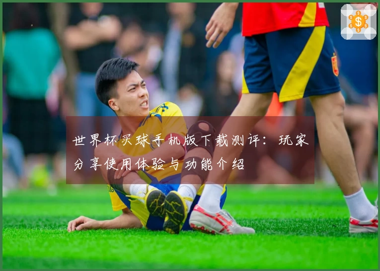 世界杯买球手机版下载测评：玩家分享使用体验与功能介绍