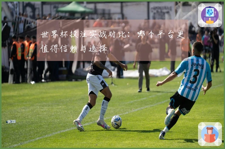 世界杯投注实战对比：哪个平台更值得信赖与选择