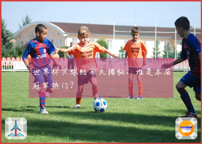 世界杯买球赔率大揭秘，谁是本届冠军热门？