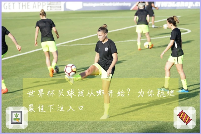 世界杯买球该从哪开始？为你梳理最佳下注入口