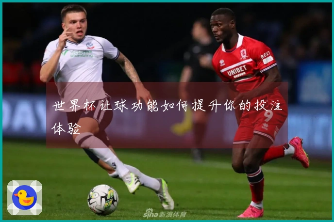 世界杯让球功能如何提升你的投注体验