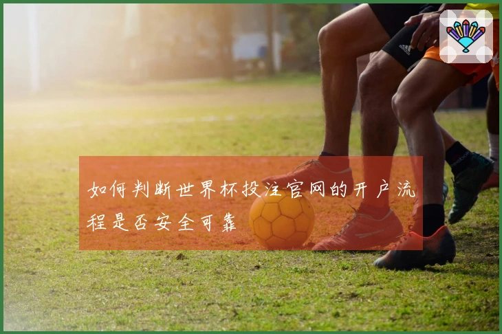 如何判断世界杯投注官网的开户流程是否安全可靠
