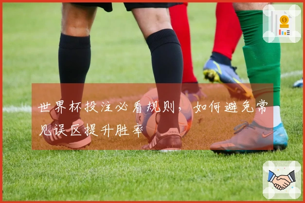 世界杯投注必看规则，如何避免常见误区提升胜率