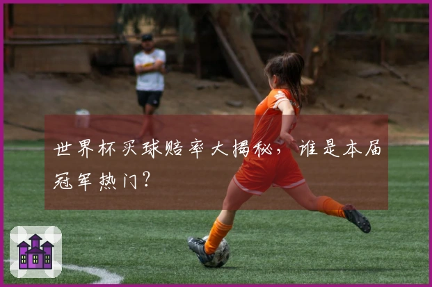 世界杯买球赔率大揭秘，谁是本届冠军热门？