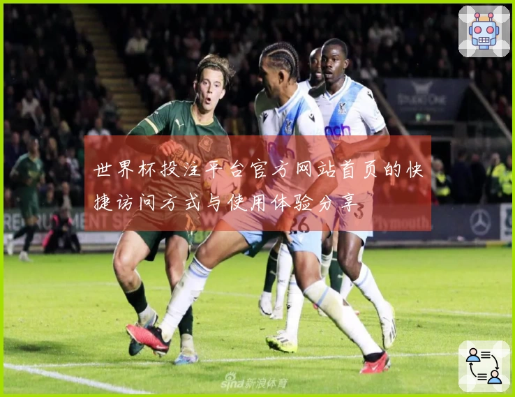 世界杯投注平台官方网站首页的快捷访问方式与使用体验分享