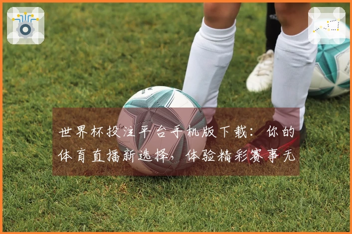 世界杯投注平台手机版下载：你的体育直播新选择，体验精彩赛事无缝衔接