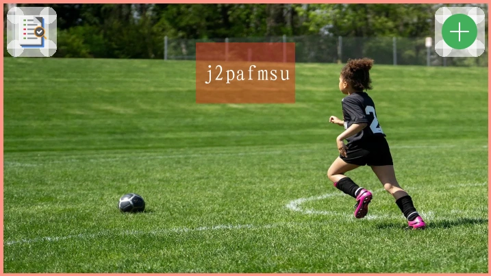 j2pafmsu